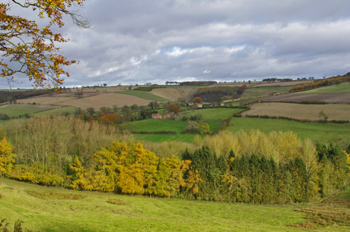 View across Painsthorpe/Photo by Arnold Underwood/Nov 2012